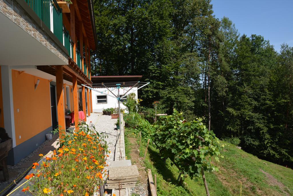 Апартаменти Gaestehaus Schmid Sankt Johann im Saggautal Екстер'єр фото