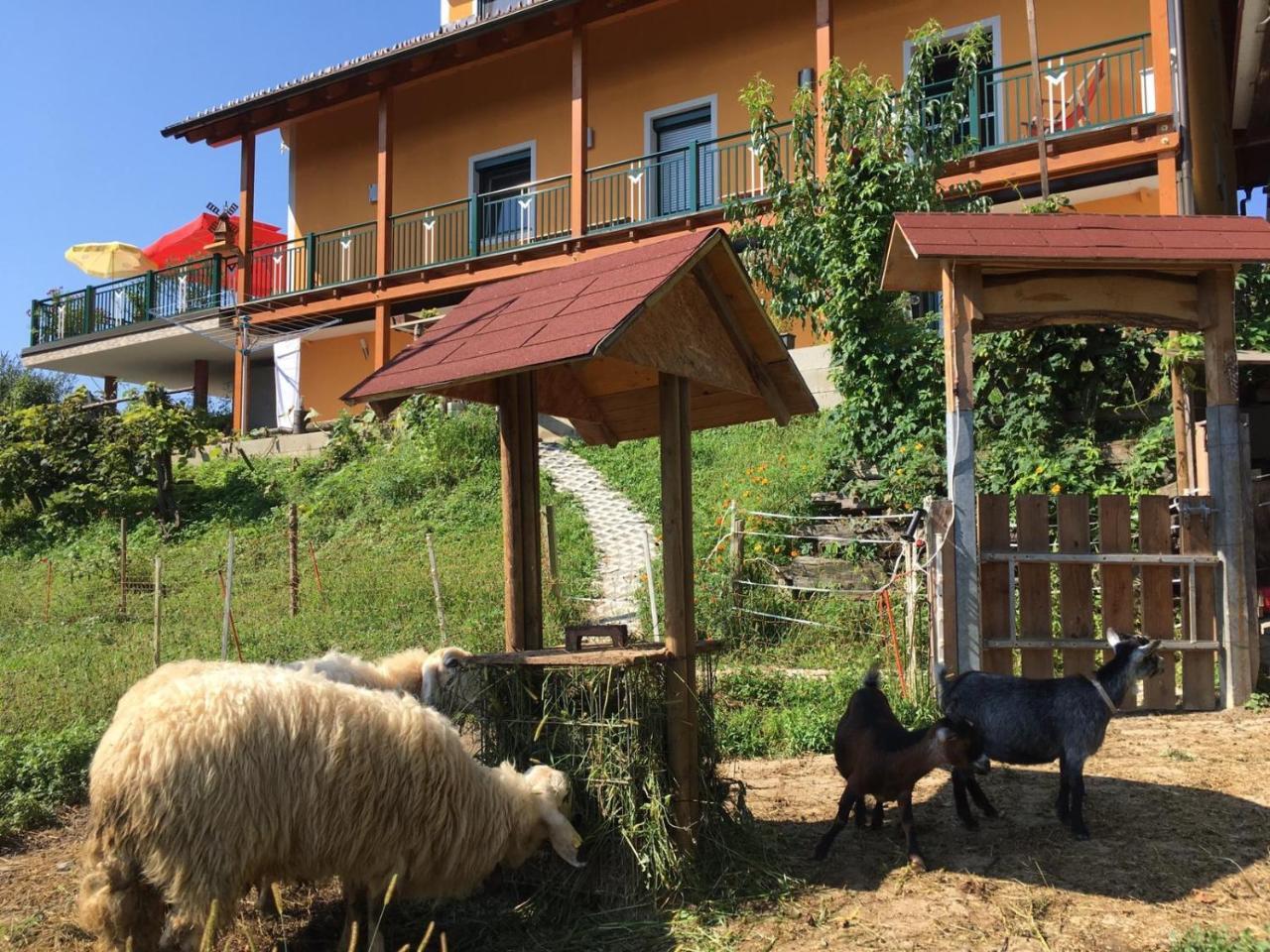 Gaestehaus Schmid Sankt Johann im Saggautal Екстер'єр фото